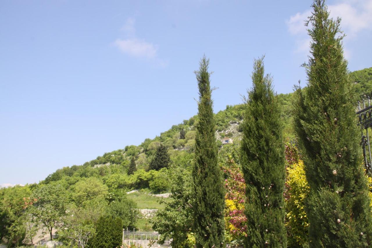 דירה Eagle Eye Montenegro