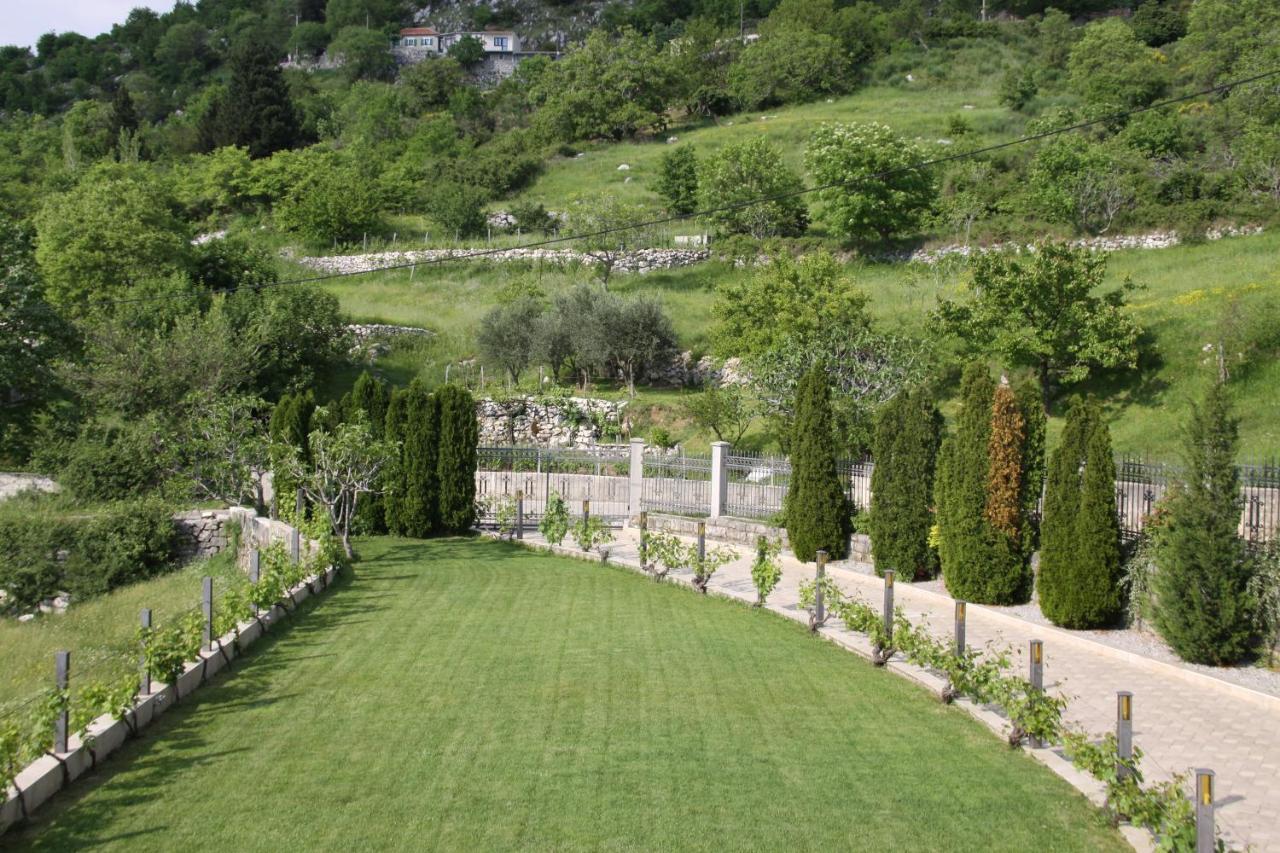 Eagle Eye Montenegro קוטור