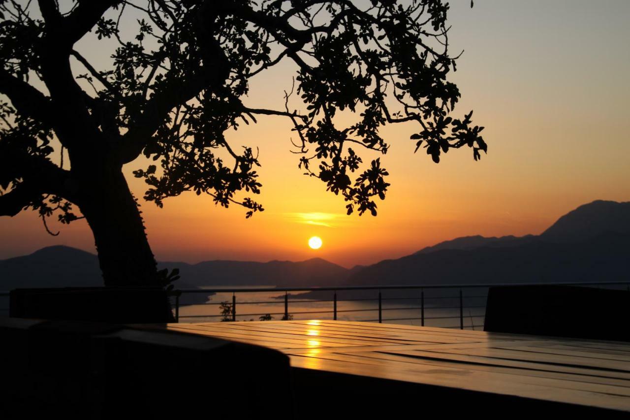 Eagle Eye Montenegro *